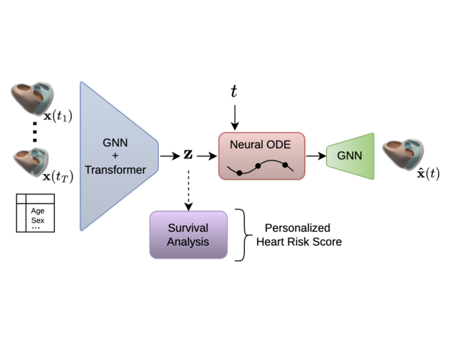 Cardiac mesh sequences and patient covariates encoded into a latent neural ODE for reconstruction and personalized heart-failure risk scoring.