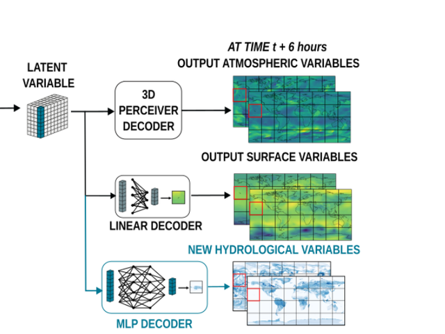 Aurora latent representation branching into standard and lightweight hydrological decoders.